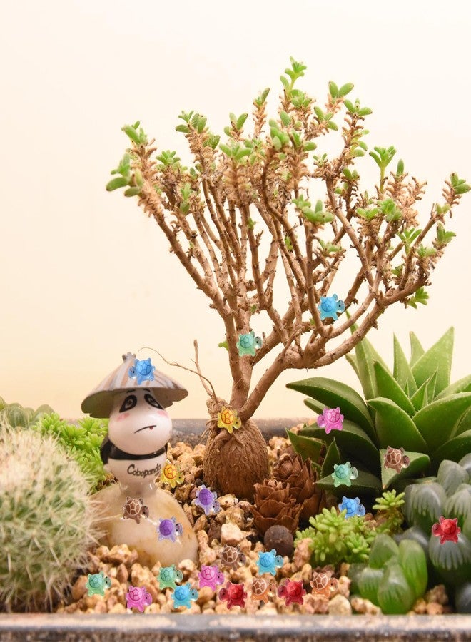 Tindobewan 200Pcs Super Mini Resin Turtles for Crafts Luminous Miniature Tiny Turtle for Fairy House Party Favors Micro Landscaping Decor(Little Turtles) - Image 4
